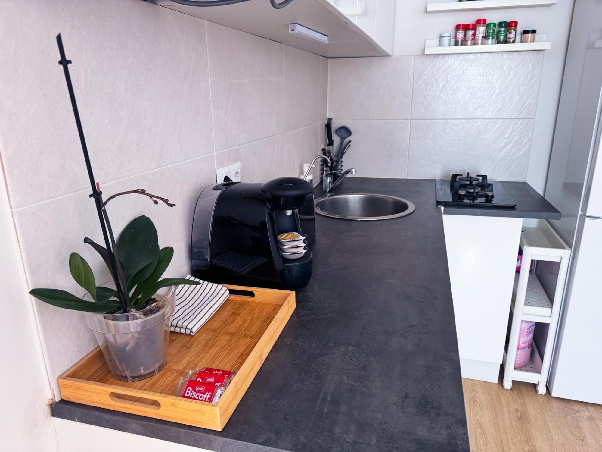 Studio Aiora バレンシア 部屋 写真